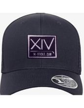 Load image into Gallery viewer, FlexFit 110 Logo Hats