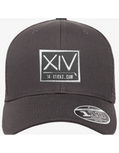 Load image into Gallery viewer, FlexFit 110 Logo Hats