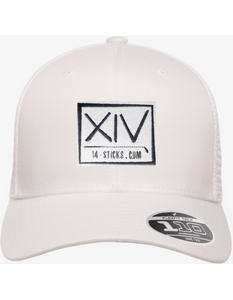 FlexFit 110 Logo Hats
