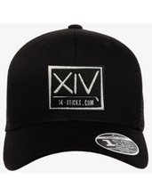 Load image into Gallery viewer, FlexFit 110 Logo Hats